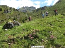 Almrosenwanderung Navis_31