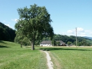 Dambergrunde_2