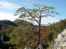 Drachenwand_11