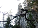 Drachenwand_40