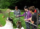 Ferienlager Helfenbergerhütte 2011