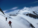 Gran Paradiso_88