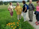 Hirschbacher Bergkräuterweg