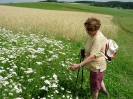 Hirschbacher Bergkräuterweg