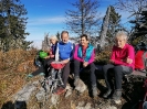 Hochsalm (1.405 m)_5