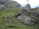 Hochtour Großglockner 2015