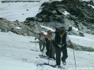 Hochtour Zillertaler Alpen_30