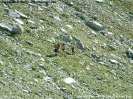 Hochtour Zillertaler Alpen 2004