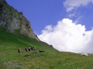Hochtour Zillertaler Alpen 2006