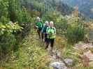 Hoher Nock (1.963 m) vom Rettenbachtal_1
