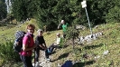 Hoher Nock (1.963 m) vom Rettenbachtal_8