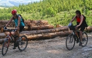 MTB Kohlergrabenrundtour_9
