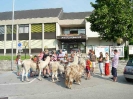 Lamareiten 2006