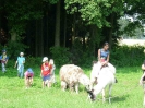 Lamareiten 2006_22