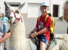 Lamareiten 2006_7
