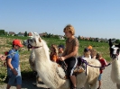 Lamareiten 2007_7