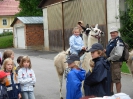 Lamareiten 2008_16