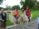 Lamareiten 2008_19