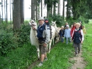 Lamareiten 2008_7