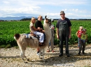 Lamareiten 2009_10