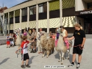 Lamareiten 2009_2