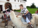 Lamareiten 2009_3