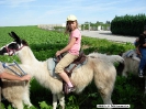 Lamareiten 2009_6