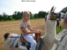Lamareiten 2009_7