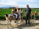 Lamareiten 2009_9