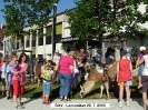 Lamareiten 2010_1