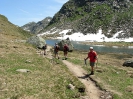 Meraner Höhenwege 2009_385