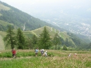 Meraner Höhenwege 2009_52
