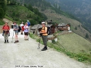 Meraner Höhenwege 2009_58