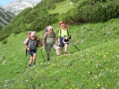 Almrosenwanderung Mosermandl_17