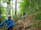 MTB-Tour Eibenberg_4