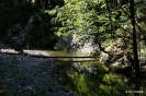 MTB-Tour Hütteneckalm 2014_4