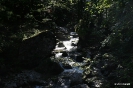 MTB-Tour Hütteneckalm 2014_5