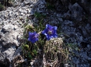 Pensionistentour Dolomitensteig