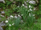 Pensionistentour Grabnerstein