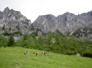 Pensionistentour Grabnerstein