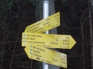 Perneckerkogel_11