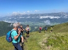 Almrosenwanderung - Pleschnitzzinken (2.112 m)_3