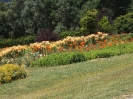 Ruine Schaunberg - Garten der Geheimnisse_10