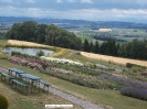Ruine Schaunberg - Garten der Geheimnisse_9