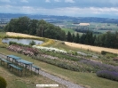 Ruine Schaunberg