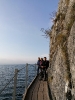 Rund um den Traunstein 2019_11