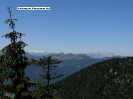 Schafberg_11