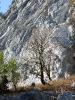 Schafluckensteig_29