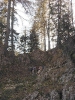 Schafluckensteig_31