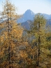 Schafluckensteig_34